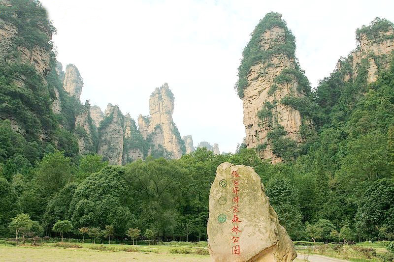 森林公園1 森林公園1